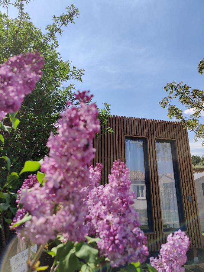 La Cabane De Lili Prune Goudargues Kültér fotó