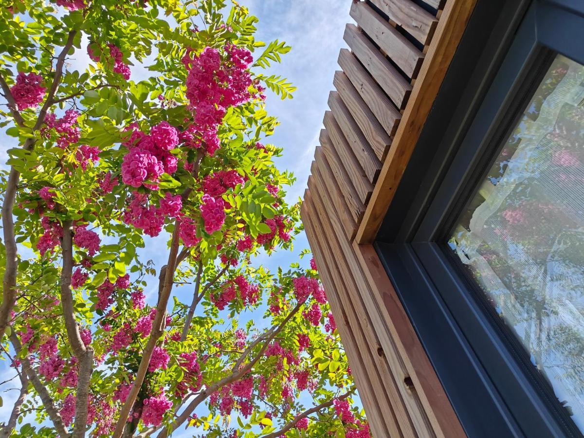 La Cabane De Lili Prune Goudargues Kültér fotó